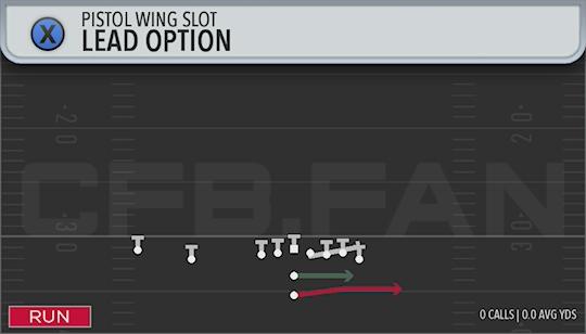 LEAD OPTION