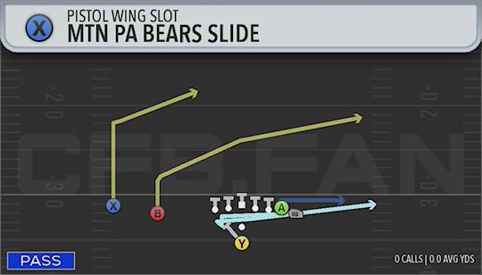 MTN PA BEARS SLIDE