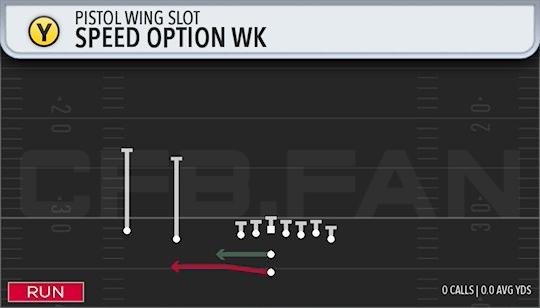 SPEED OPTION WK