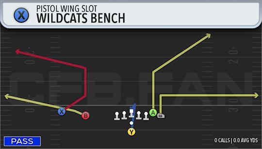 WILDCATS BENCH