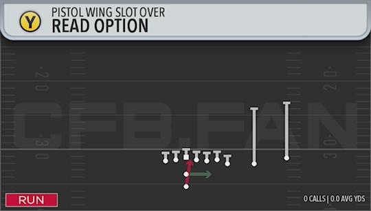 READ OPTION