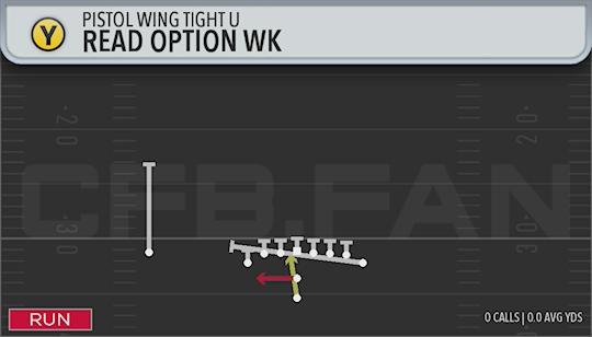 READ OPTION WK