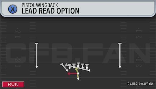 LEAD READ OPTION