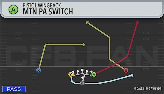 MTN PA SWITCH