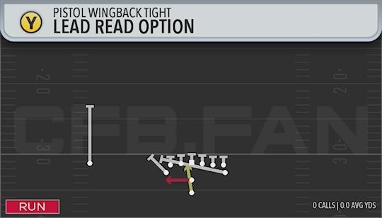 LEAD READ OPTION
