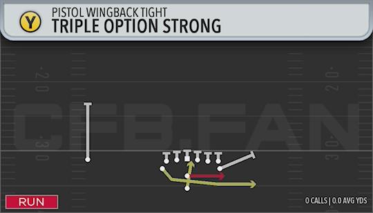 TRIPLE OPTION STRONG