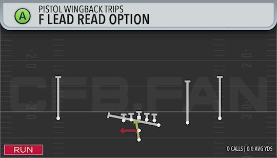 F LEAD READ OPTION