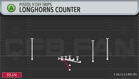 LONGHORNS COUNTER