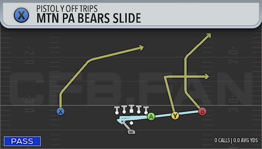 MTN PA BEARS SLIDE