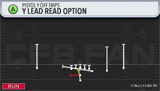 Y LEAD READ OPTION