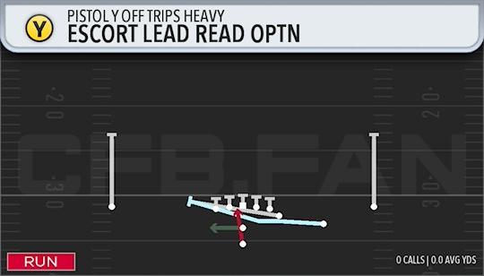 ESCORT LEAD READ OPTN