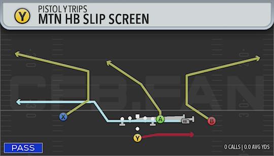 MTN HB SLIP SCREEN