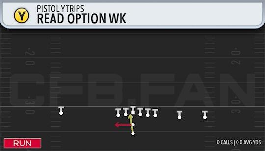 READ OPTION WK