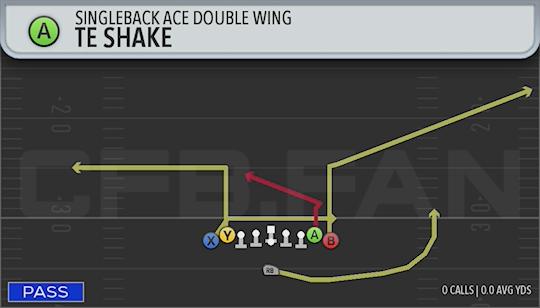TE SHAKE