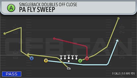 PA FLY SWEEP