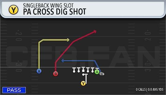 PA CROSS DIG SHOT