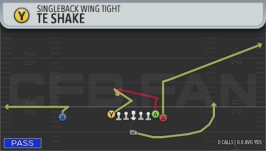 TE SHAKE