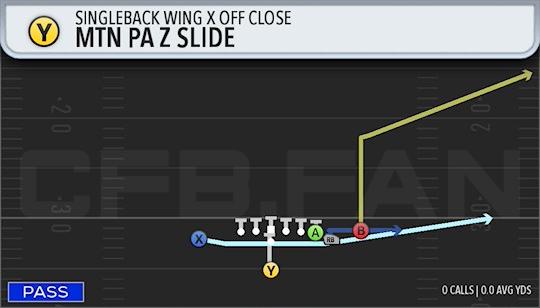 MTN PA Z SLIDE