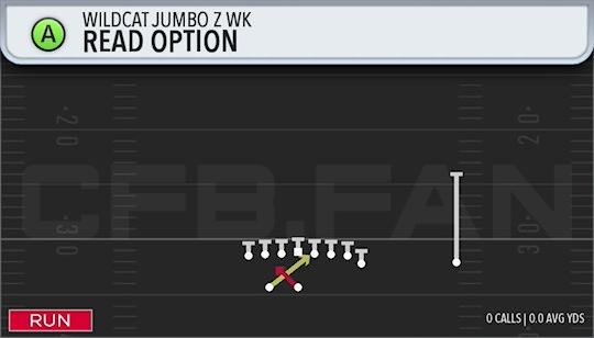 READ OPTION