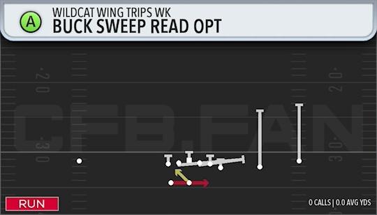 BUCK SWEEP READ OPT