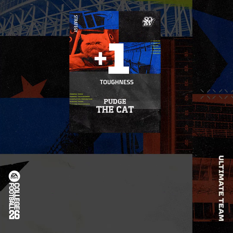 cfb26-sotw-w1-pudge-the-cat-strat-item