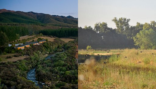 2006_Poronui_and_WES