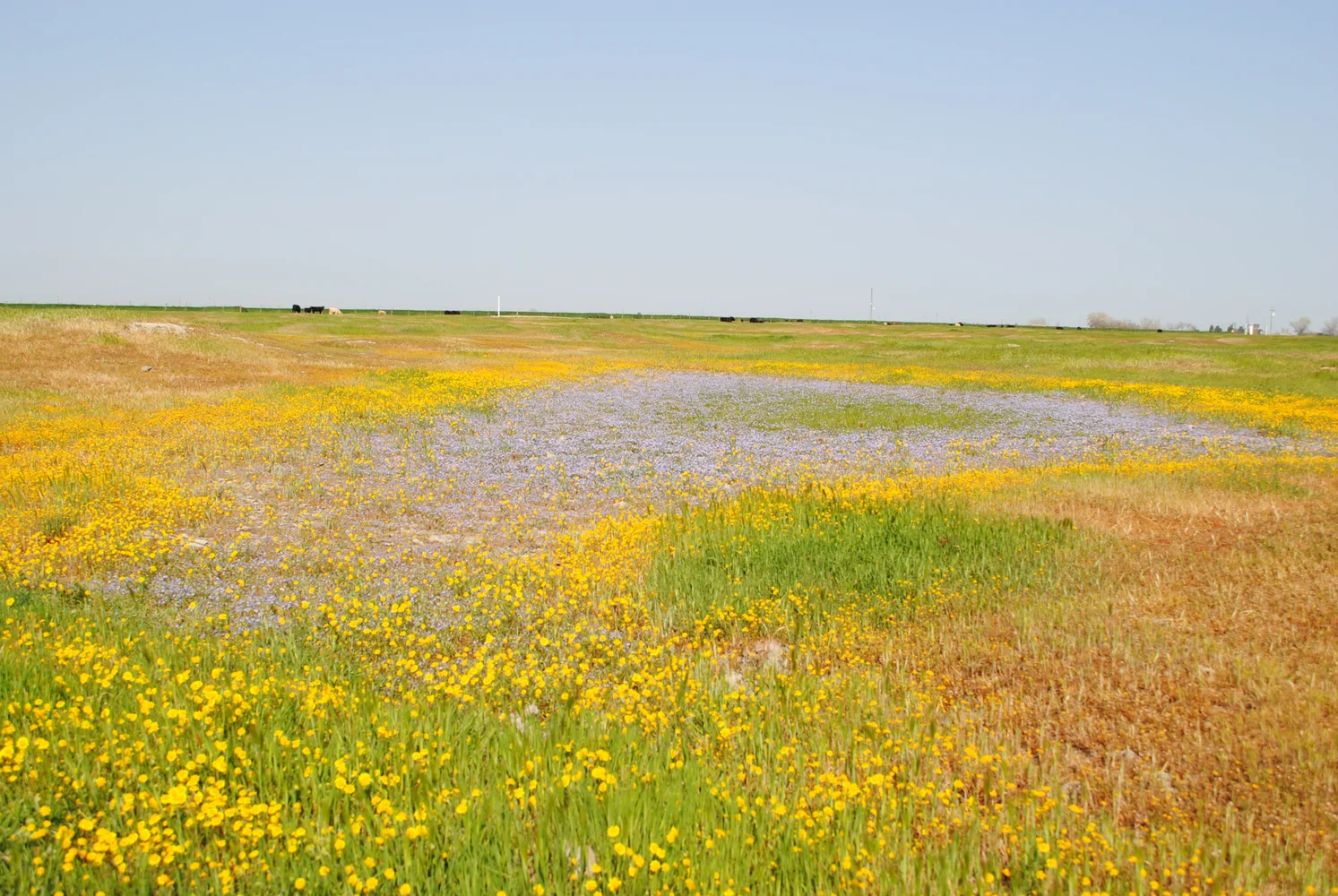 2013-03-22 Dutchman Pool