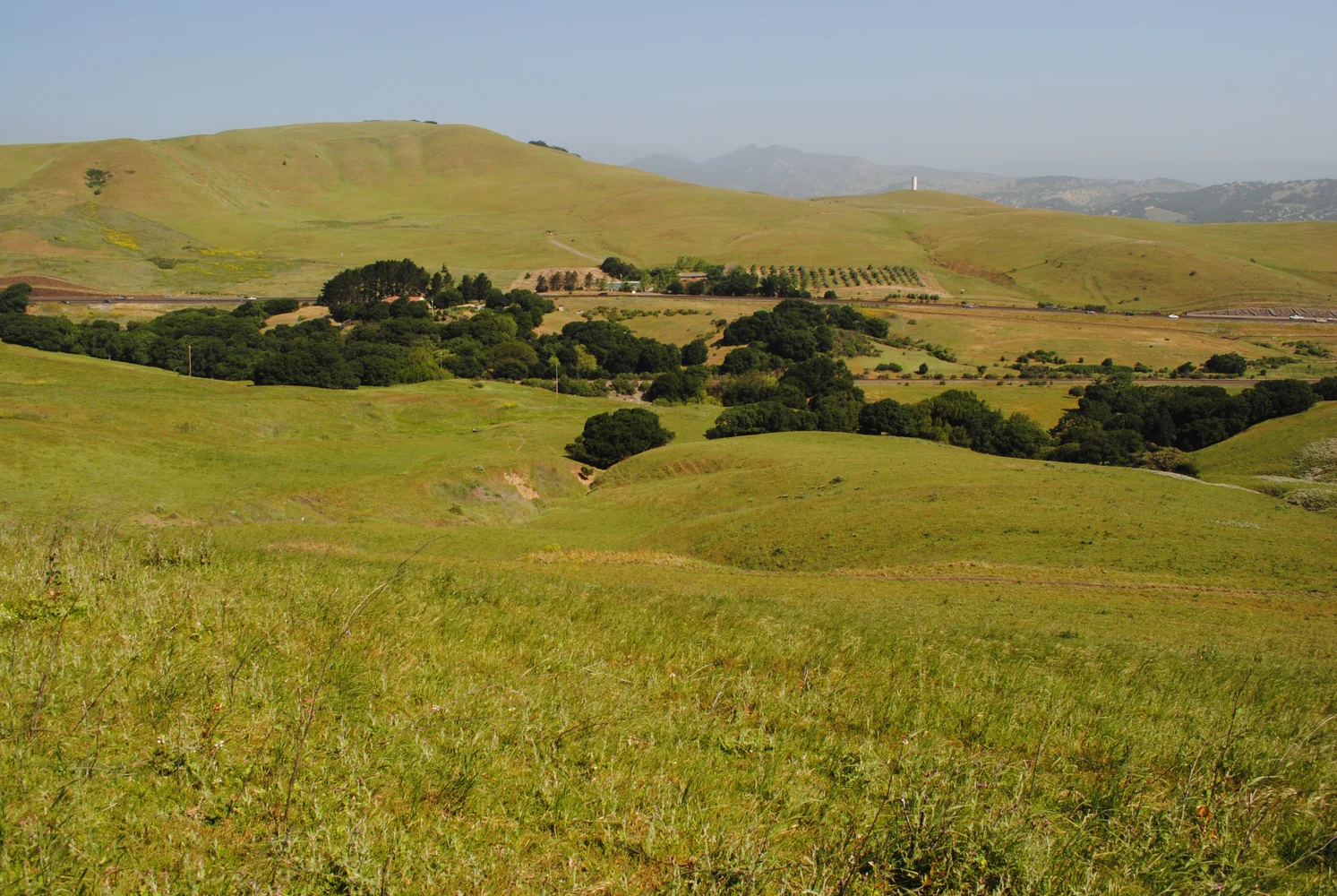 2015 Photo-monitoring_0007