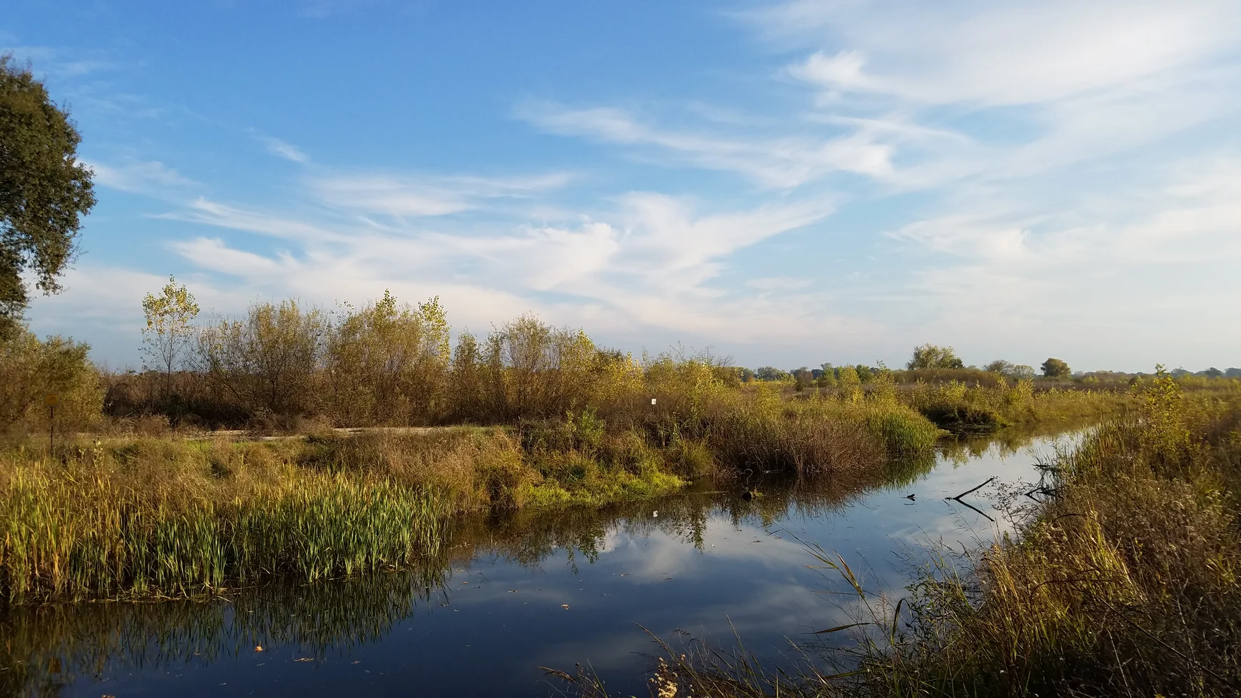 2016Site Visit for UCD Class 2016-11-10_152945