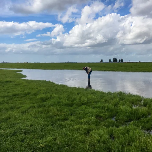 2017-02-21_Site-Visit (wet)_5448