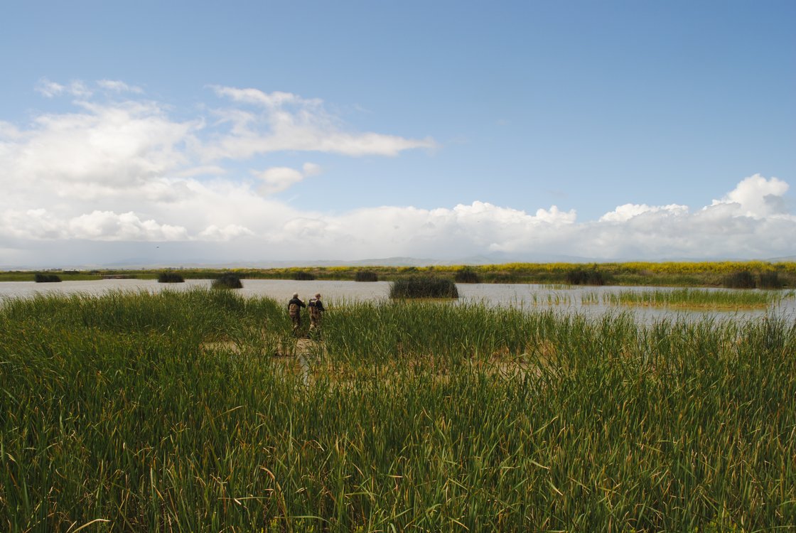 Grasslands Mitigation Bank project