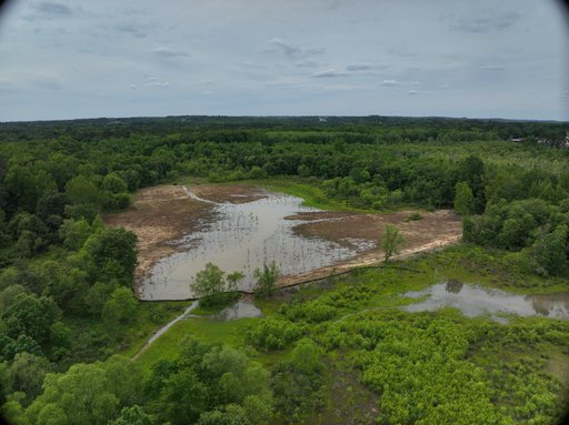 Yellow River Wetland Mitigation Bank Georgia