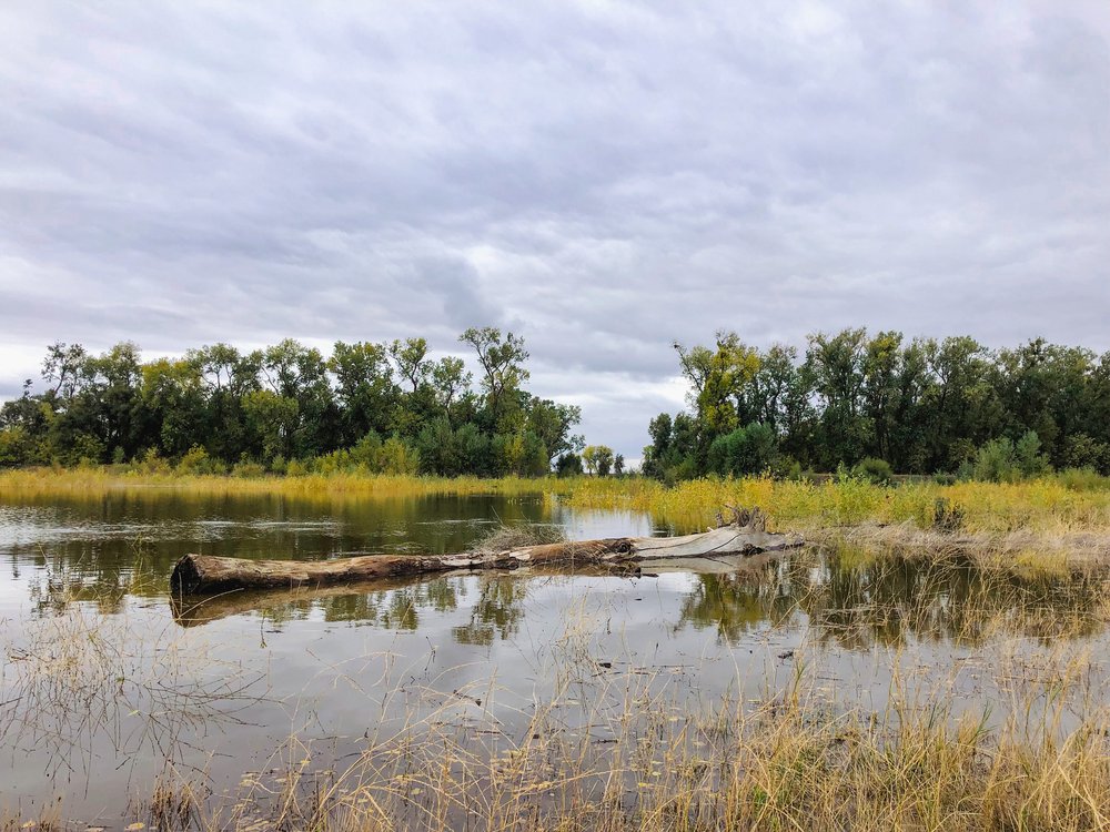 Bullock Bend Conservation Bank project