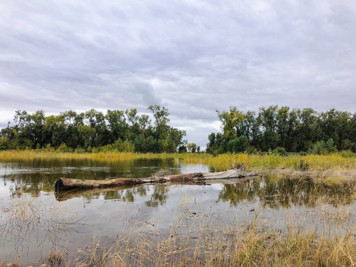 Bullock bend Mitigation Bank