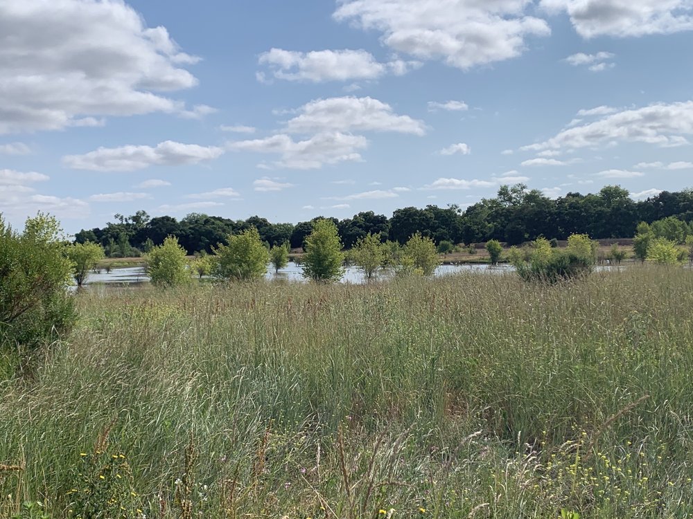 Cosumnes Floodplain Mitigation Bank project