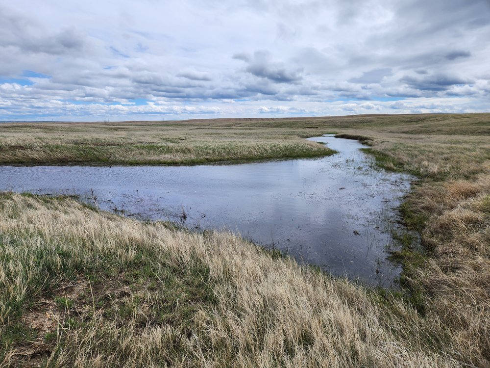 Belle Fourche Wetland Mitigation Bank project
