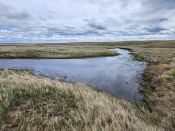 Belle Fourche Mitigation Bank project image