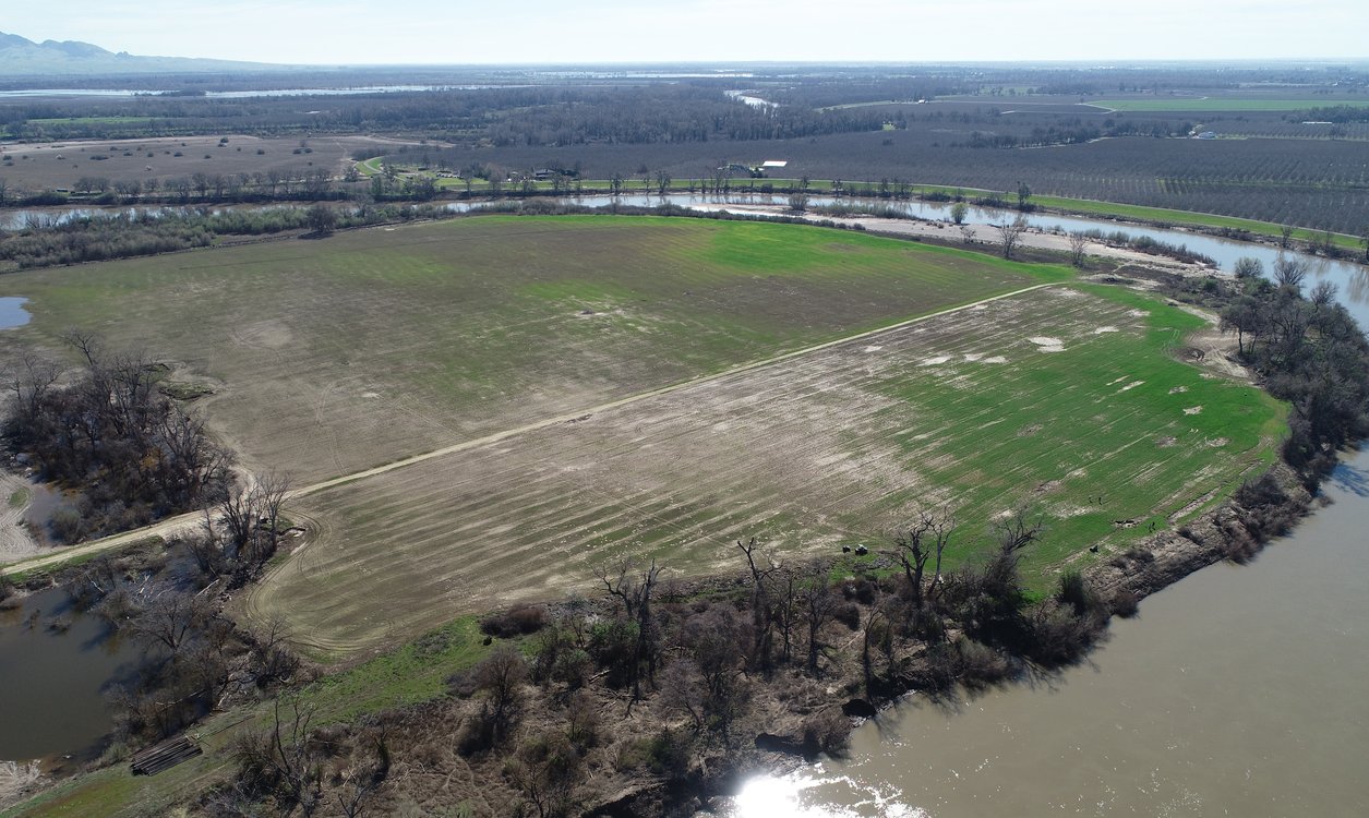 Hamilton Bend Mitigation Bank project