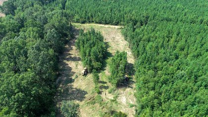 Arlington Plantation Mitigation Bank project image