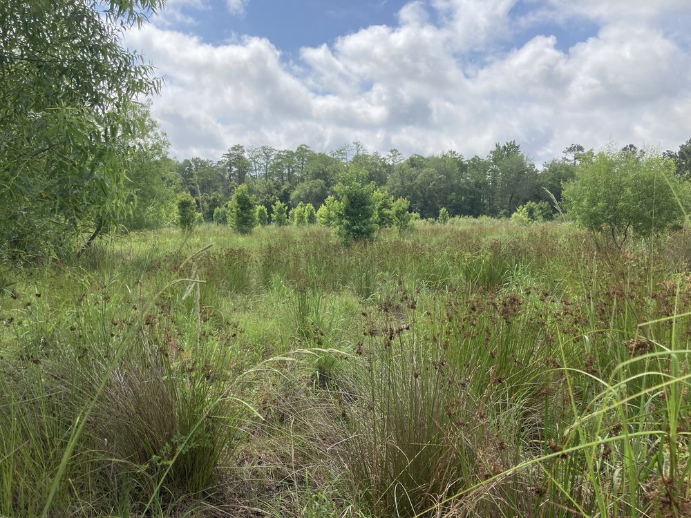 Walker Farms Site project