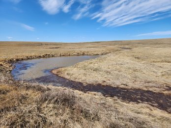Belle Fourche Mitigation Bank project image