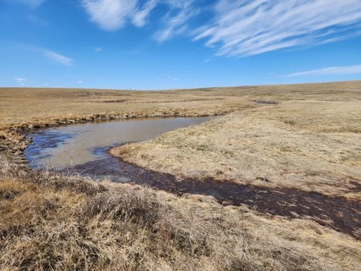Belle Fourche Wetlands