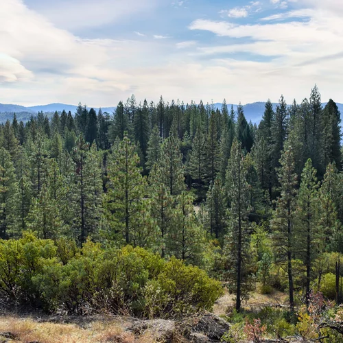 Big Gun 2019-10-18 009_edited