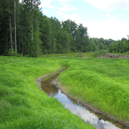 Big Sandy Conservation Bank 5
