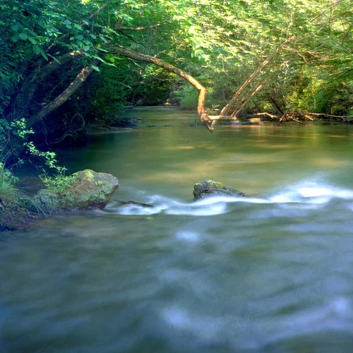 Big Sandy Mitigation Bank 4