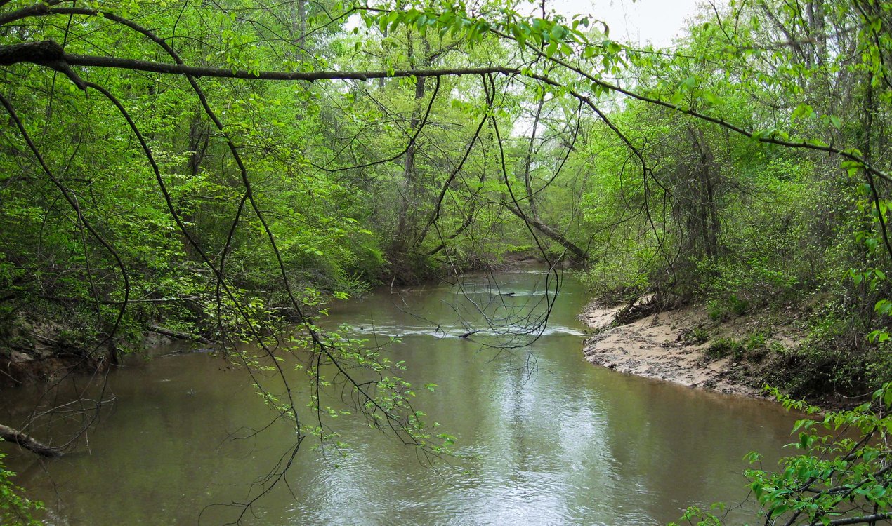 Big Sandy Mitigation Bank project