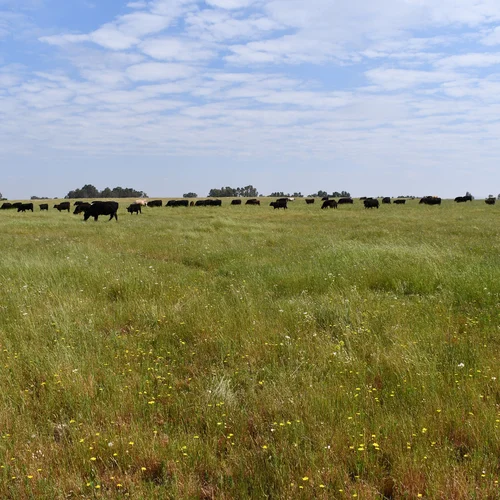 Bradley 2019-05-09 019 General Site Photo