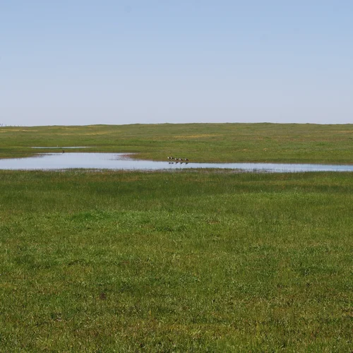 Bradley Property 2016-03-30 067