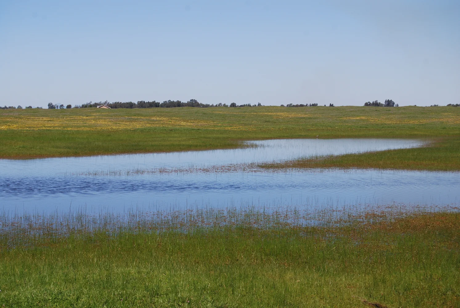 Bradley Property 2016-03-30 070