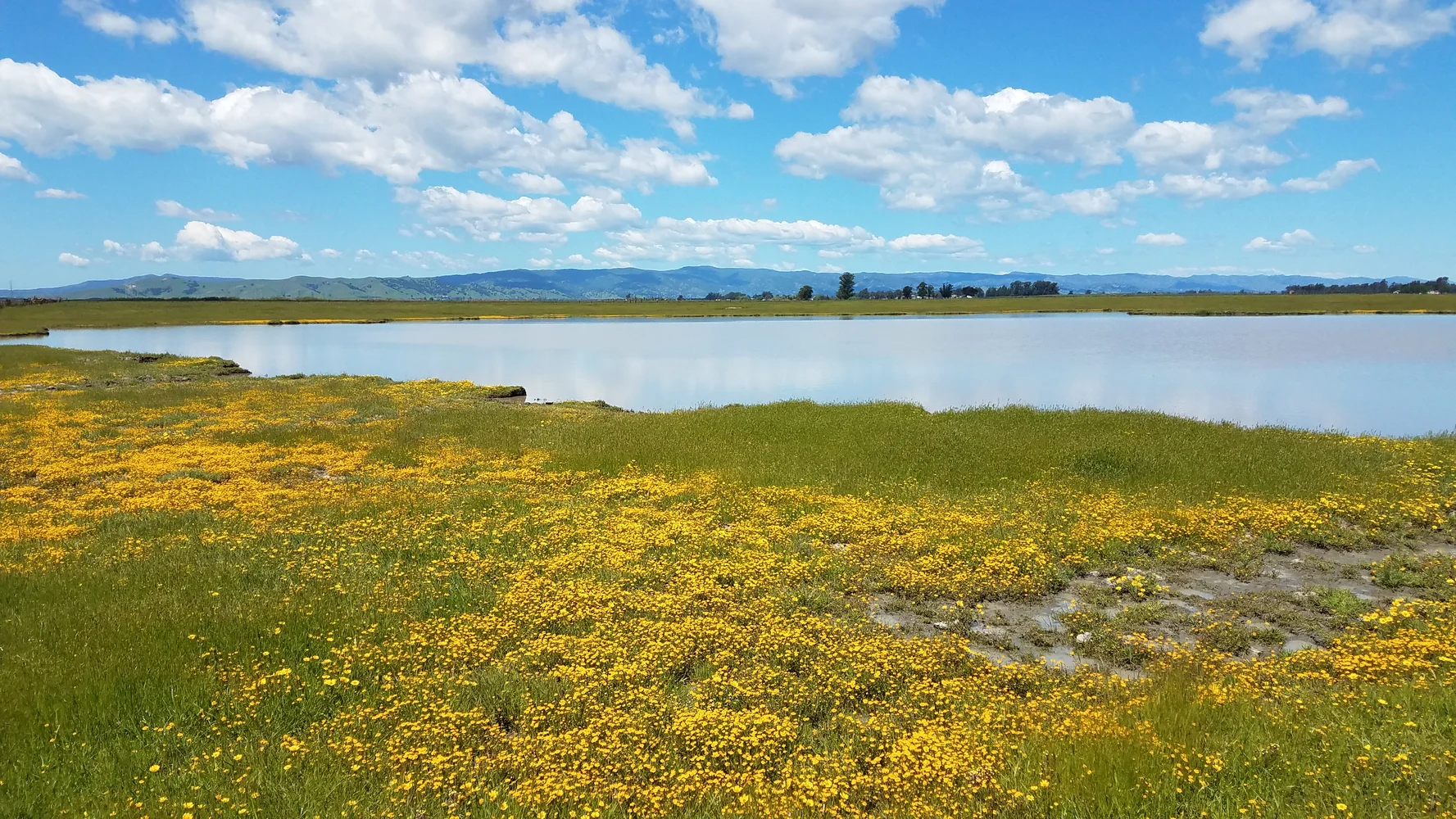 Burke Ranch Conservation Bank